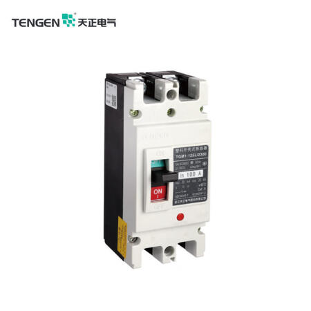 天正 塑壳断路器 分断能力35kA 2P 100A；TGM1-250L/2300 100A
