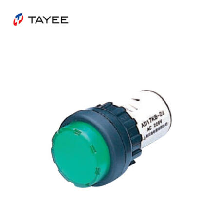 上海天逸电器 KB型指示灯,白色；AD17KB-25/AC220V W